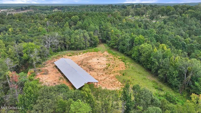 $225,000 | 255 Everett Church Road, Mendenhall, MS 39114