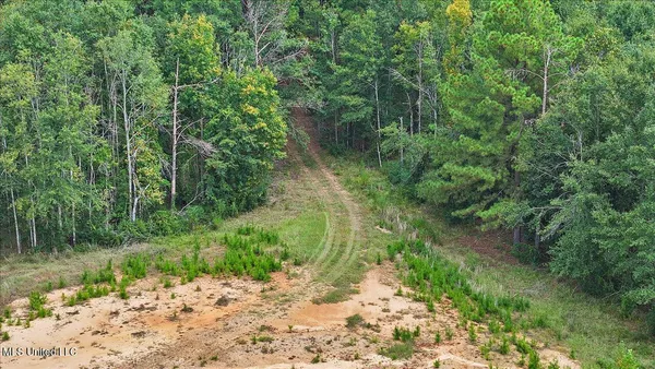 $225,000 | 255 Everett Church Road, Mendenhall, MS 39114