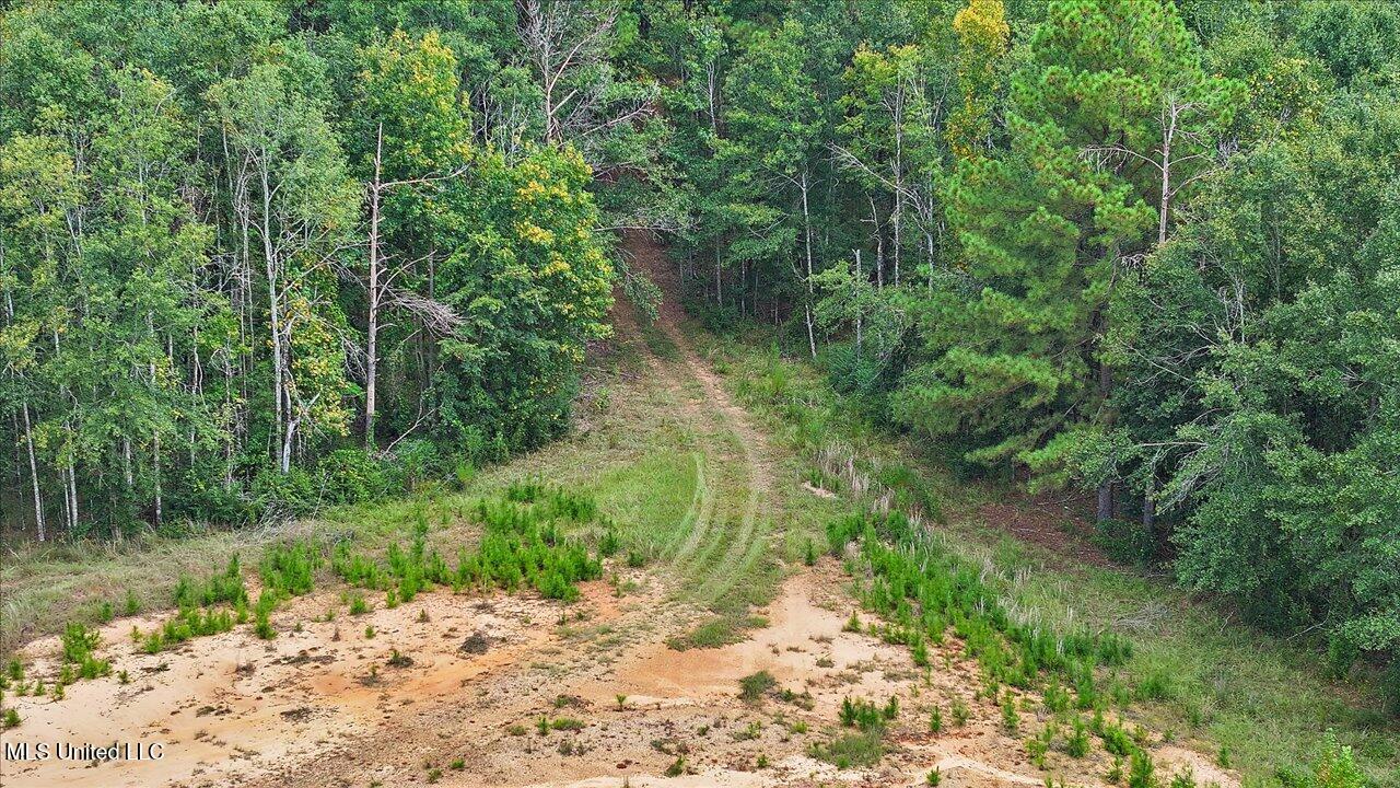 255 Everett Church Road Mendenhall, MS 39114 - Photo 39 of 47 40-255 Everett Church Rd