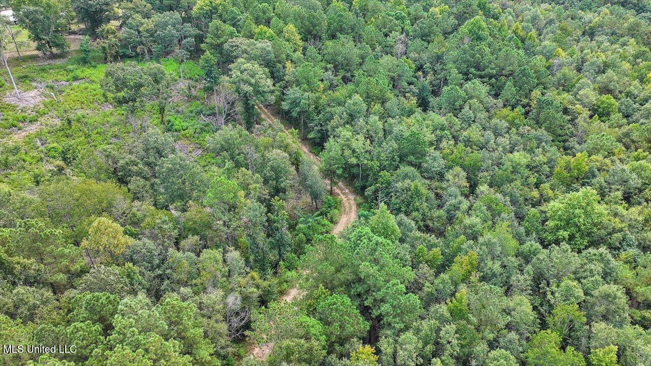 255 Everett Church Road Mendenhall, MS 39114 - Photo 40 of 47 41-255 Everett Church Rd