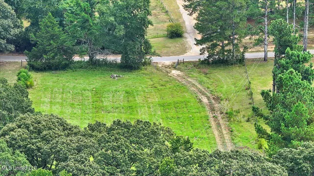 $225,000 | 255 Everett Church Road, Mendenhall, MS 39114