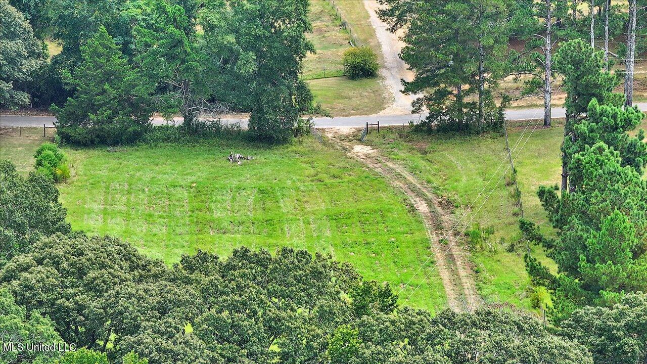 255 Everett Church Road Mendenhall, MS 39114 - Photo 42 of 47 43-255 Everett Church Rd