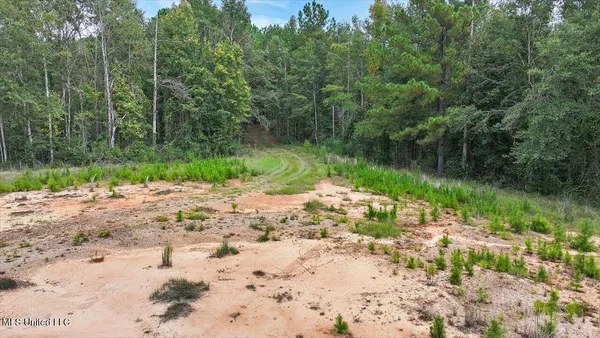 $225,000 | 255 Everett Church Road, Mendenhall, MS 39114