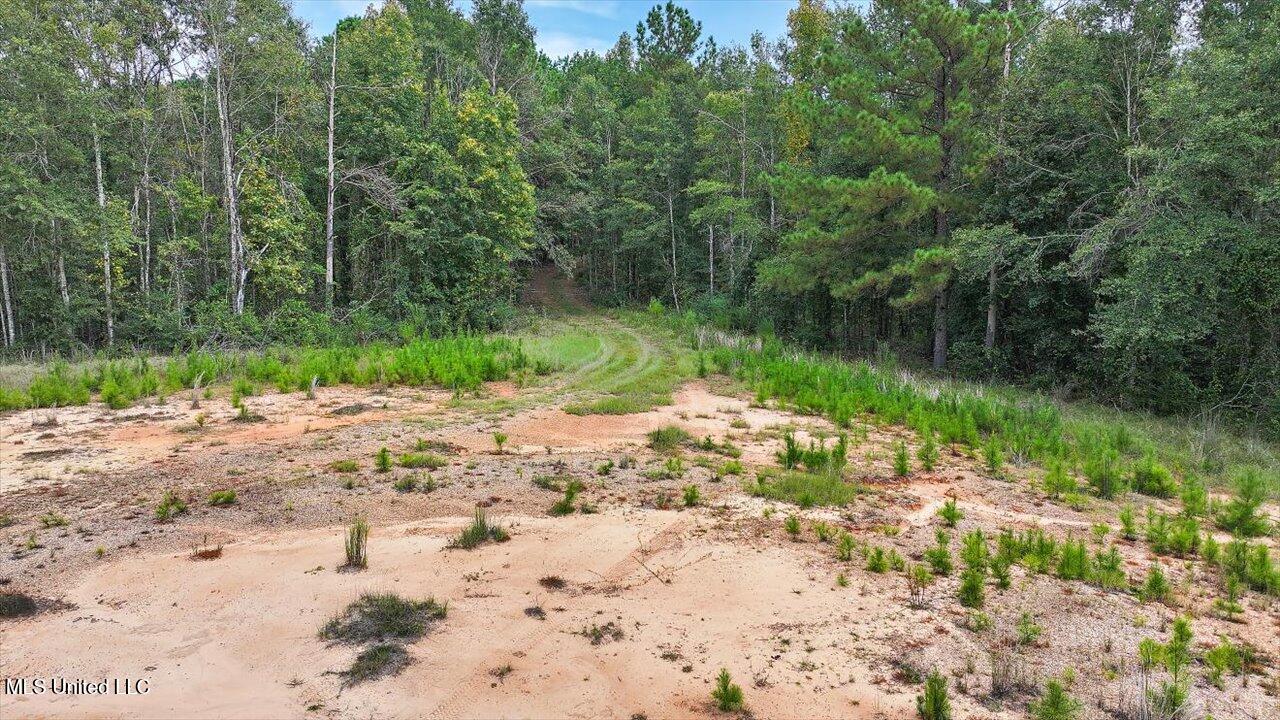 255 Everett Church Road Mendenhall, MS 39114 - Photo 45 of 47 46-255 Everett Church Rd