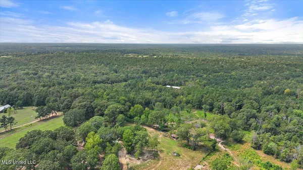 $225,000 | 255 Everett Church Road, Mendenhall, MS 39114