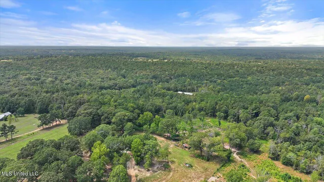 $225,000 | 255 Everett Church Road, Mendenhall, MS 39114