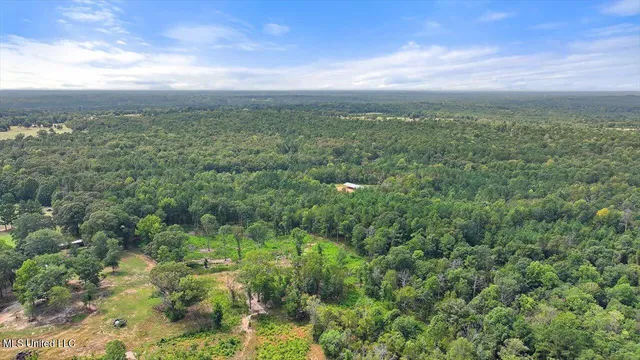 $225,000 | 255 Everett Church Road, Mendenhall, MS 39114