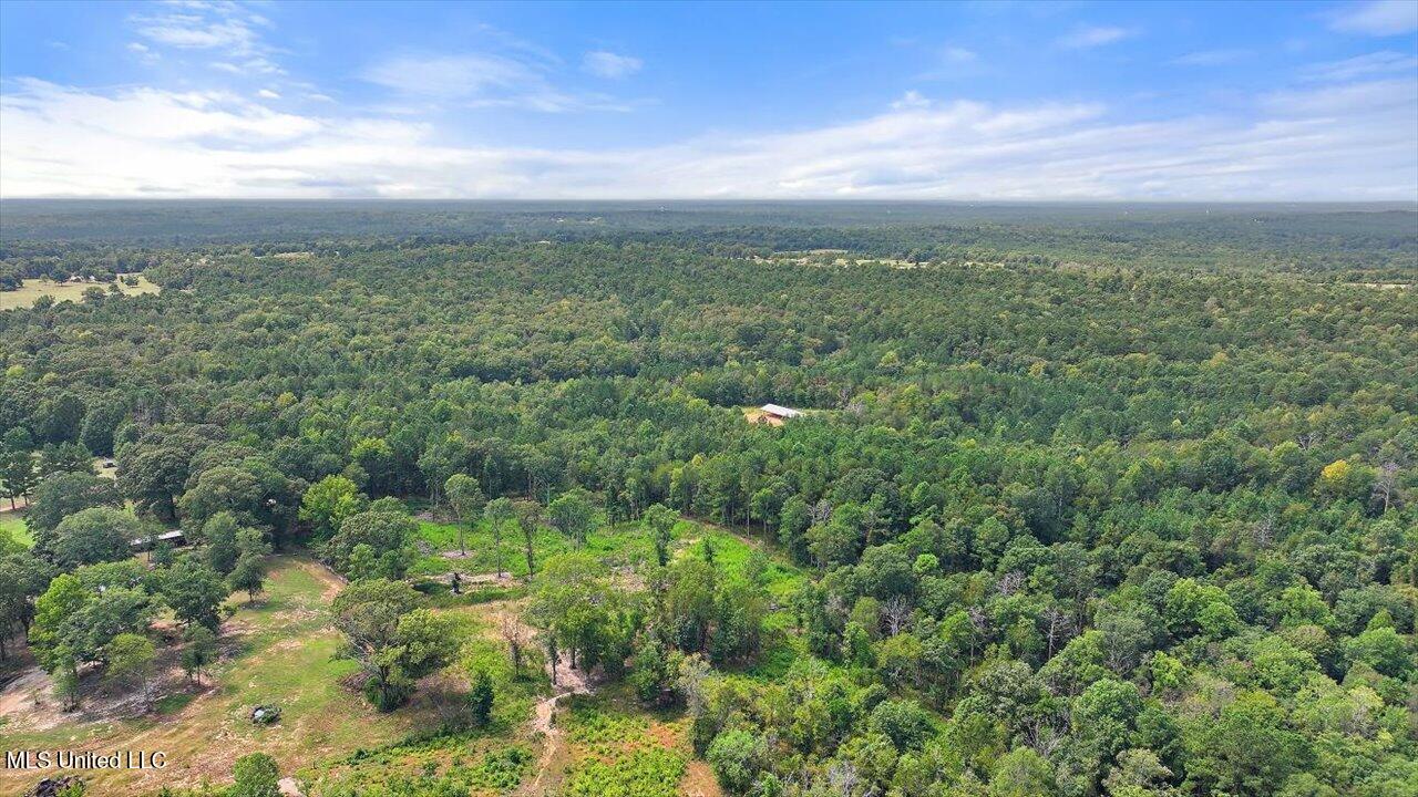 255 Everett Church Road Mendenhall, MS 39114 - Photo 7 of 47 04-255 Everett Church Rd