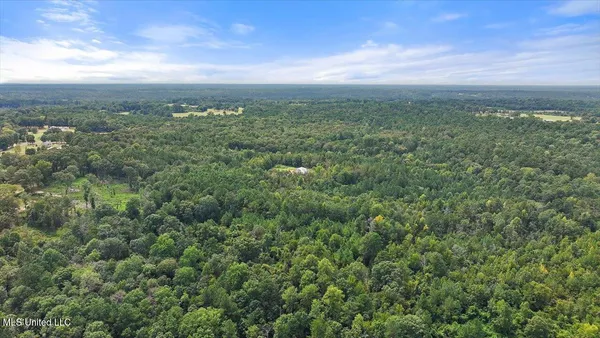 $225,000 | 255 Everett Church Road, Mendenhall, MS 39114