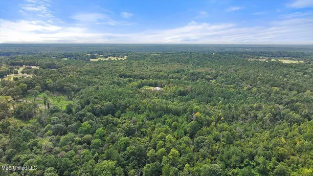 $225,000 | 255 Everett Church Road, Mendenhall, MS 39114