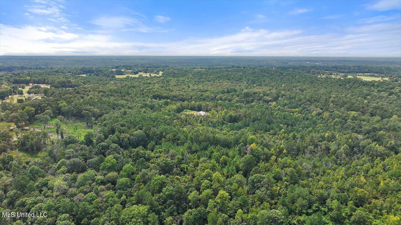 255 Everett Church Road Mendenhall, MS 39114 - Photo 8 of 47 05-255 Everett Church Rd