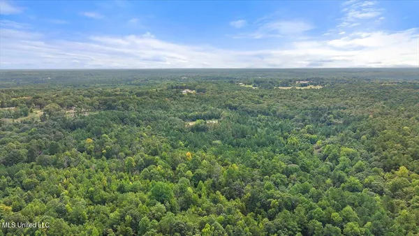 $225,000 | 255 Everett Church Road, Mendenhall, MS 39114