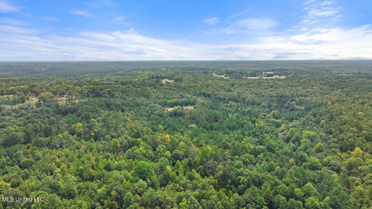 255 Everett Church Road Mendenhall, MS 39114 - Photo 9 of 47 06-255 Everett Church Rd