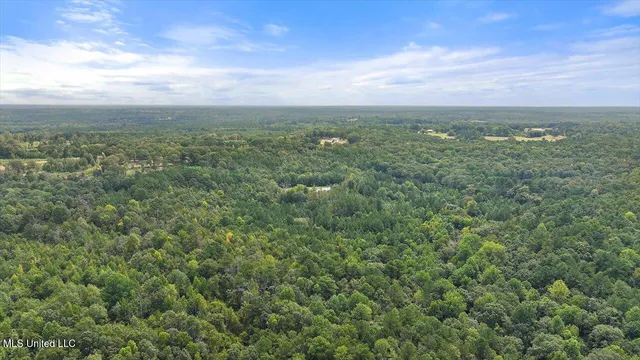 $225,000 | 255 Everett Church Road, Mendenhall, MS 39114