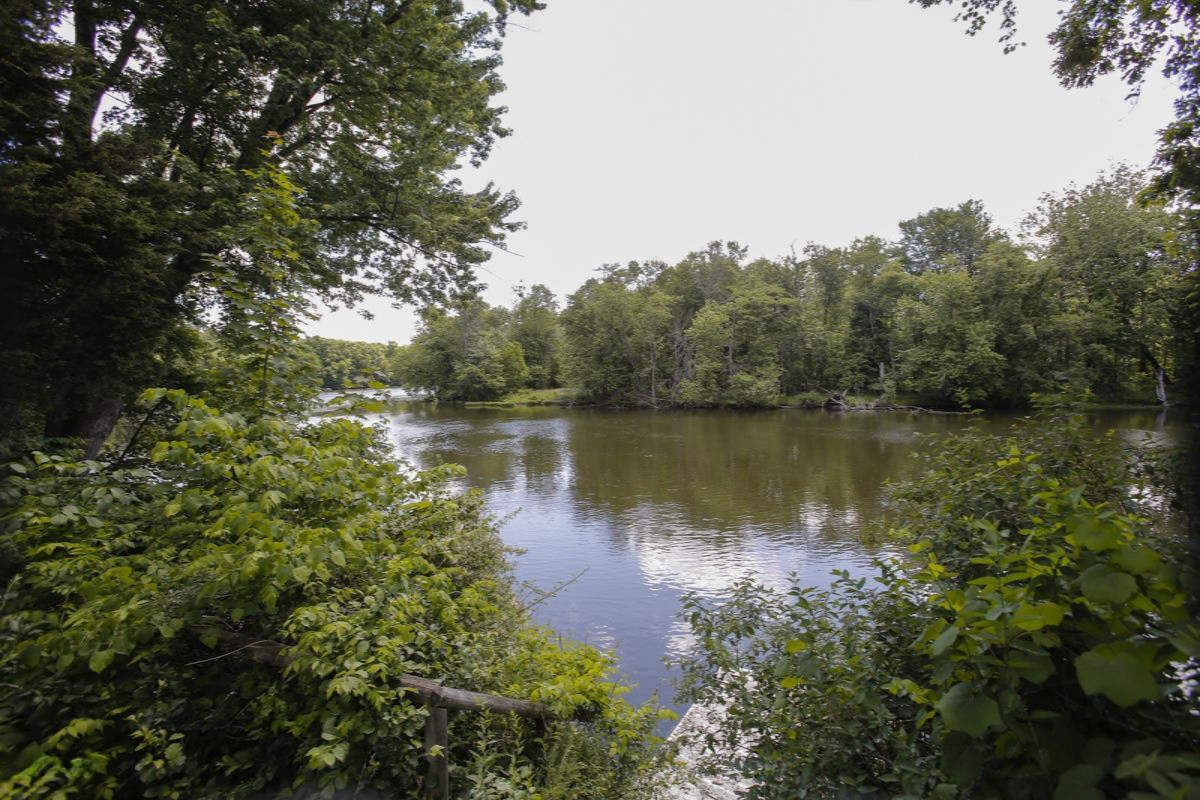 13799 Nerrman Road Constantine, MI 49042 - Photo 21 of 28 13799 timm rd-107