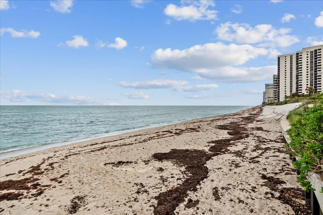 a view of a dining room with furniture a chandelier and wooden floor