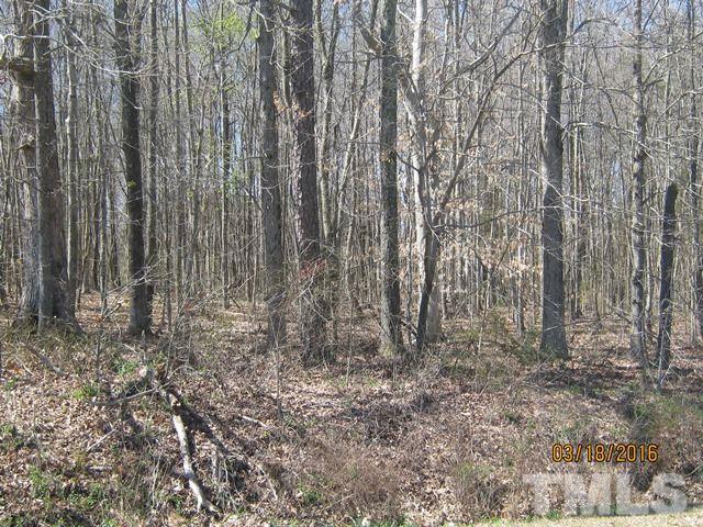 0 Hugh Blalock Road Roxboro, NC 27574 - Photo 13 of 17 a view of backyard with trees