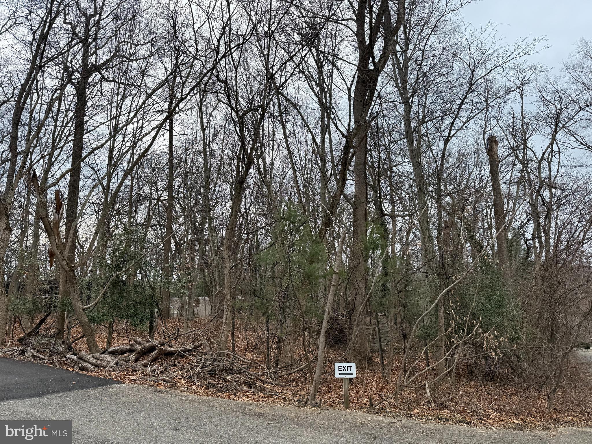 41 Fairview Road Penn Valley, PA 19072 - Photo 2 of 2 a view of a forest with trees