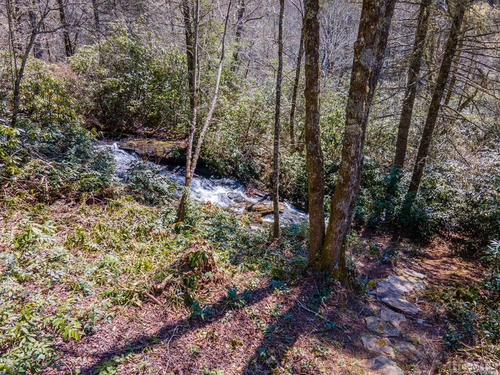 366 Simon Speed Road Highlands, NC 28741 - Photo 5 of 60 Gallery Image 5