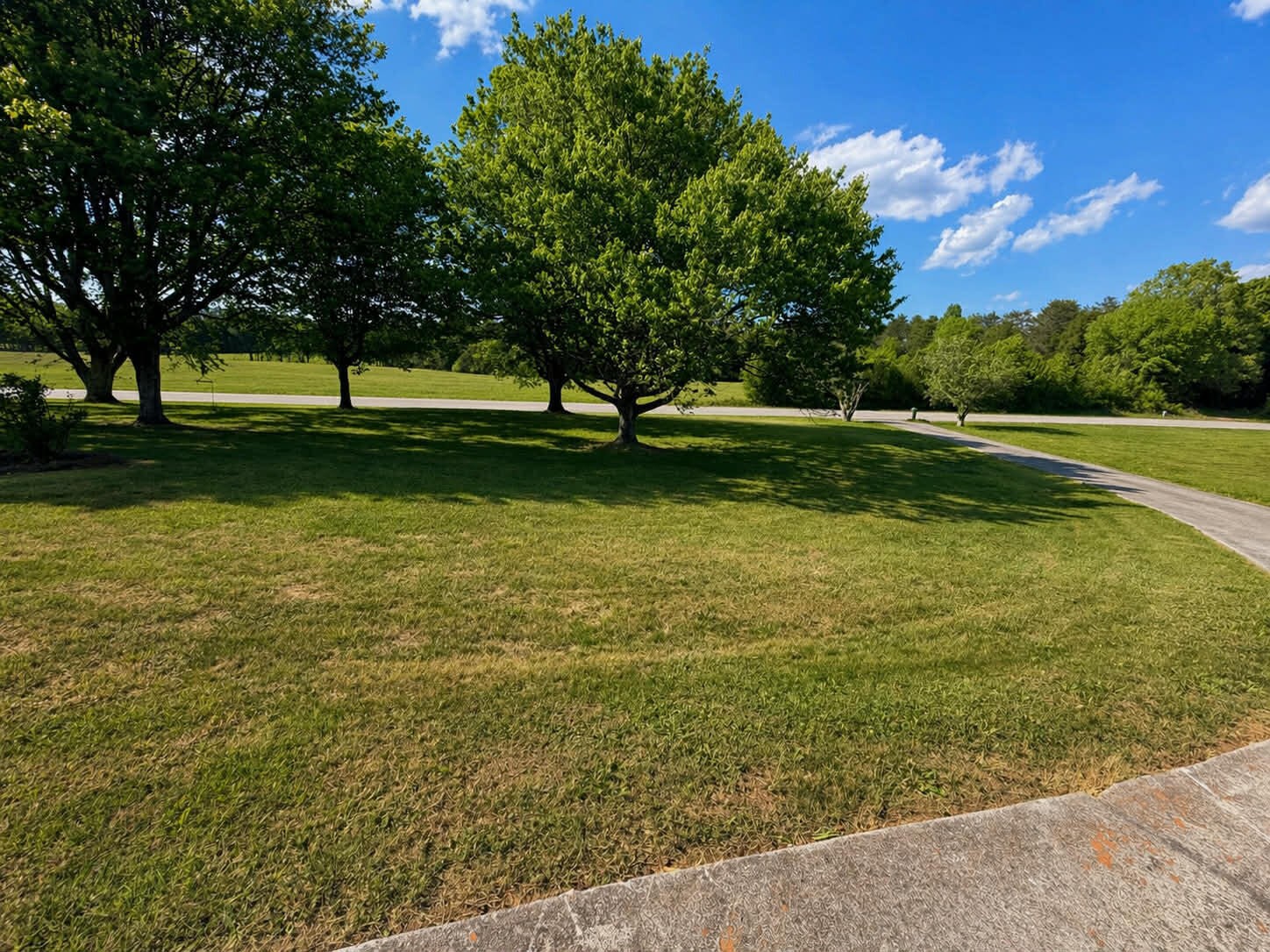 1240 Centerpoint Road Decatur, TN 37322 - Photo 8 of 50 Gallery Image 8