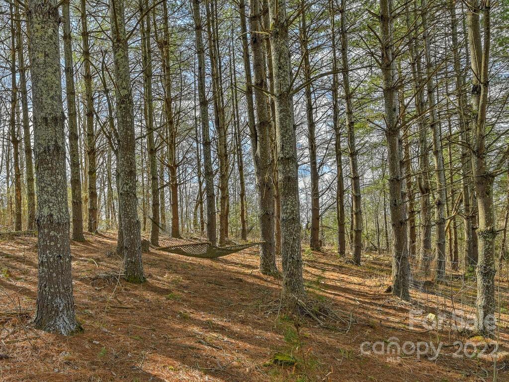 469 Coates Road Marshall, NC 28753 - Photo 38 of 45 Gallery Image 38
