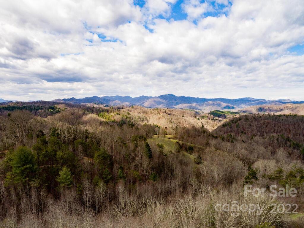 469 Coates Road Marshall, NC 28753 - Photo 4 of 45 Gallery Image 4
