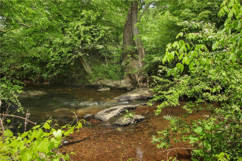 1669 Moore Road Asheboro, NC 27205 - Photo 40 of 50 Back Creek