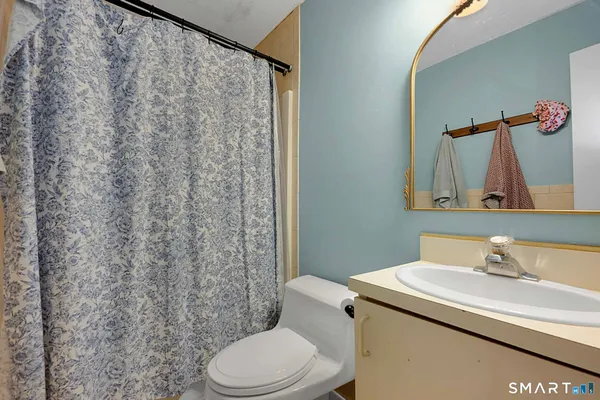 a bathroom with a sink and a toilet