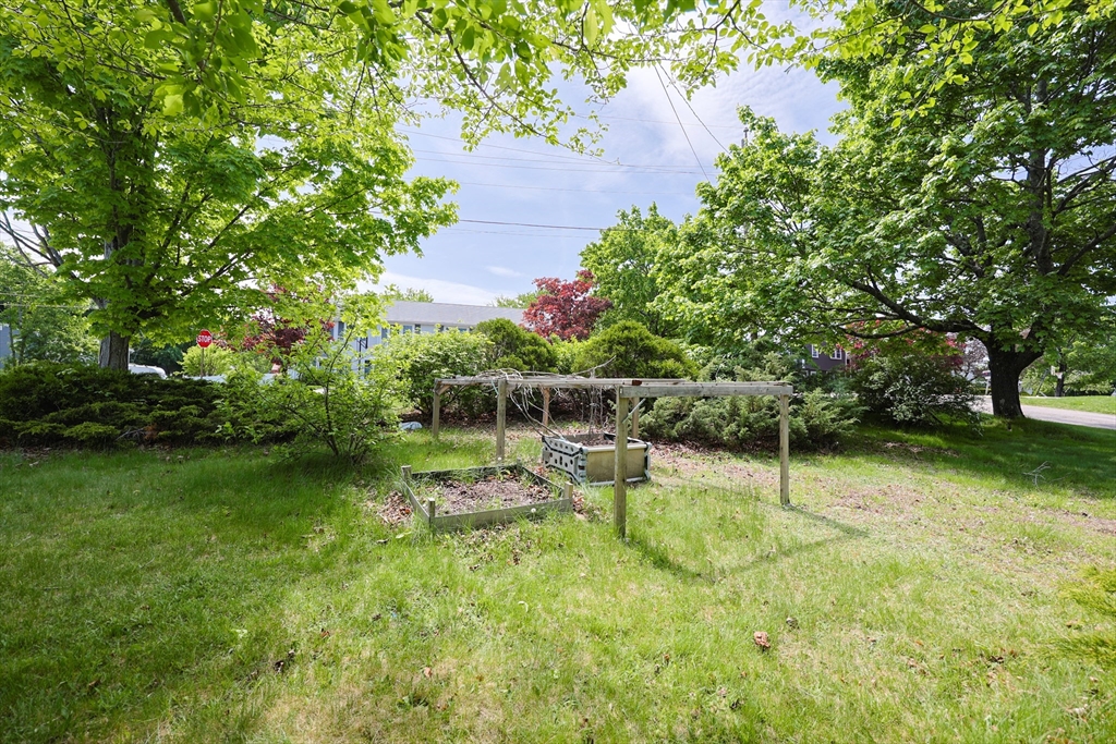 18 Tilden Road Canton, MA 02021 - Photo 30 of 30 a view of backyard with green space