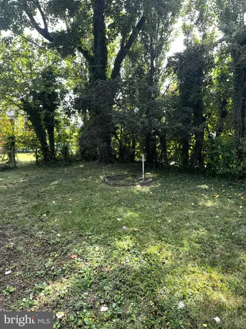 a view of a green field with lots of trees