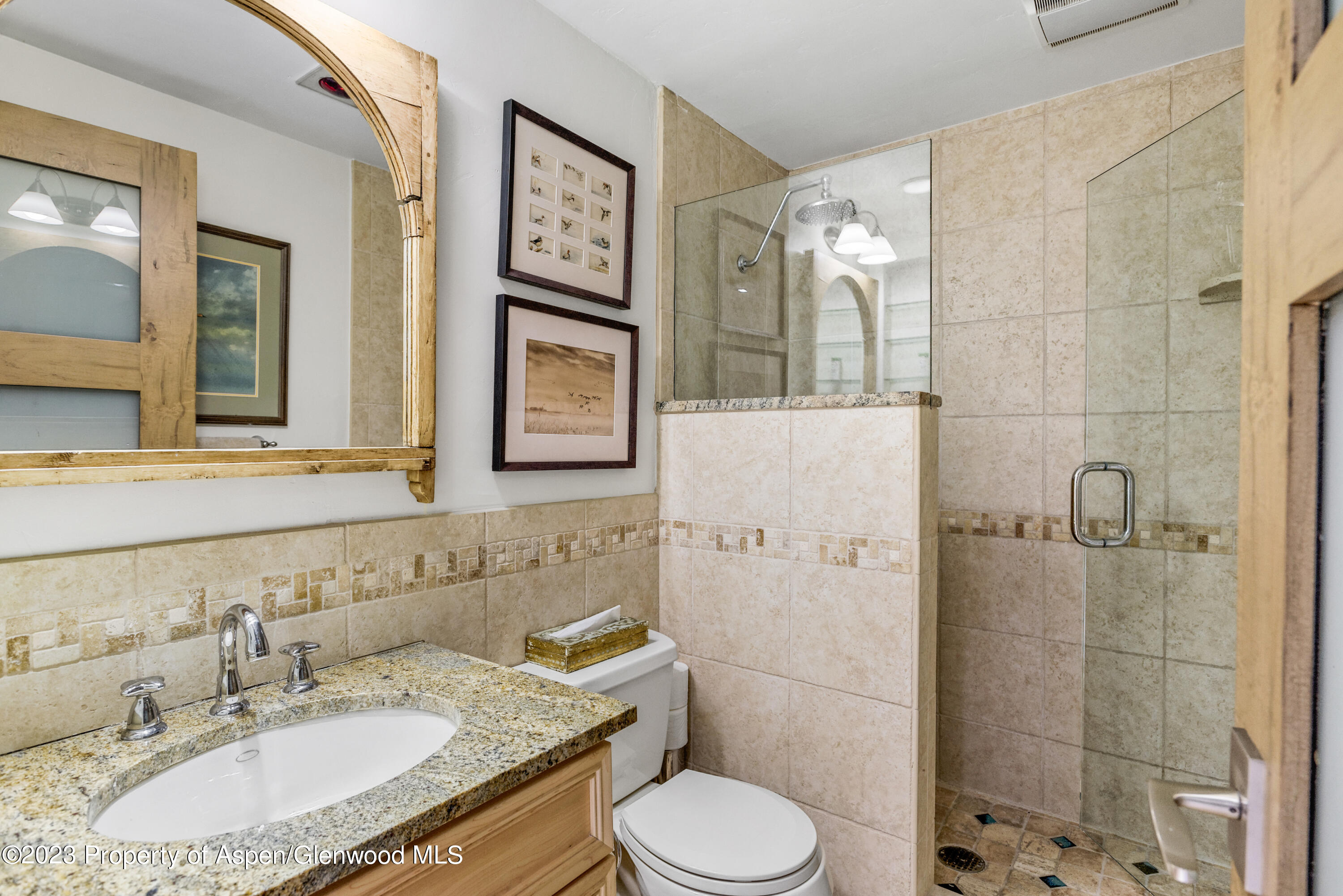 525 South Original Street, Unit B Aspen, CO 81611 - Photo 13 of 17 a bathroom with a sink toilet and shower
