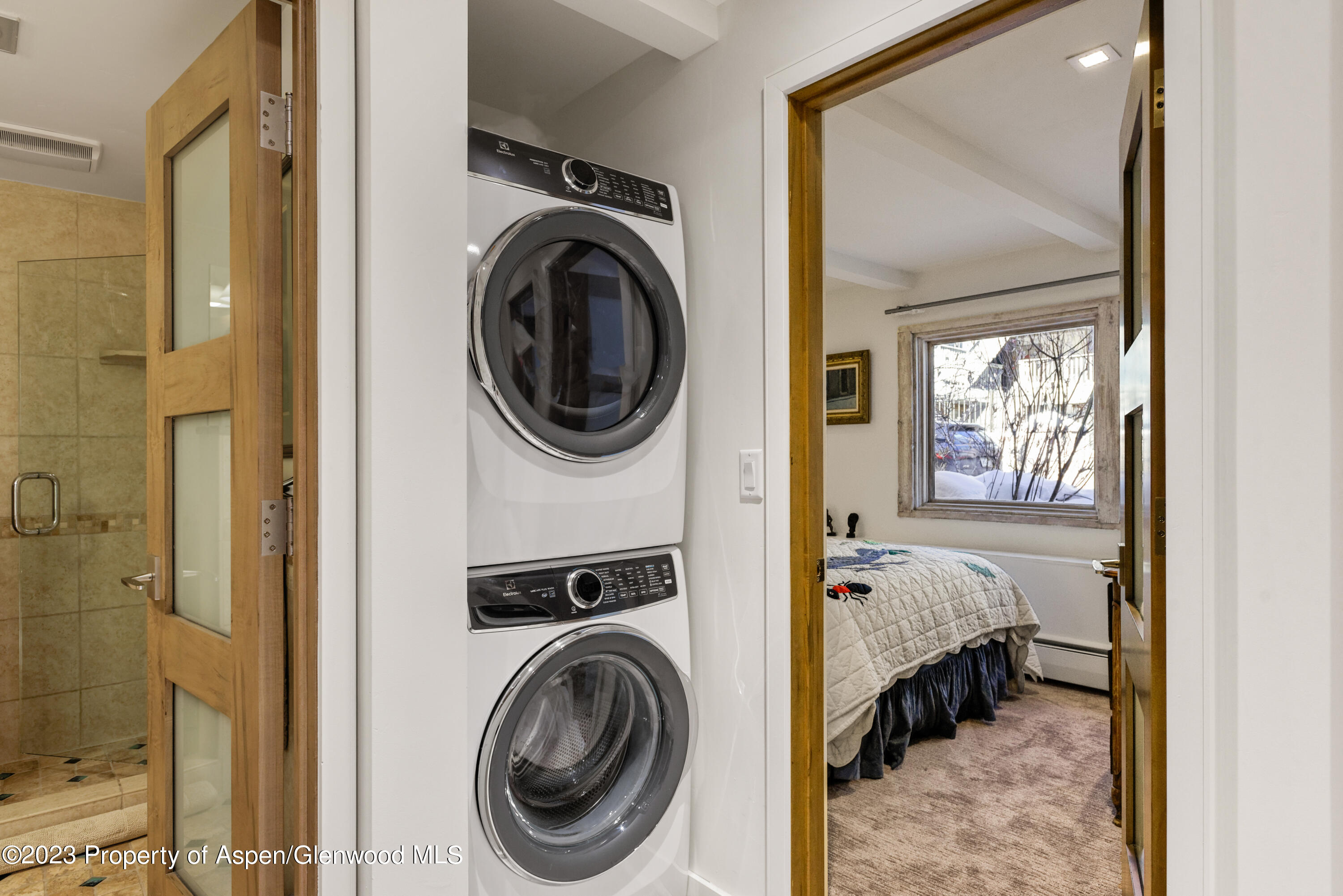 525 South Original Street, Unit B Aspen, CO 81611 - Photo 16 of 17 a view of a bedroom with washer and dryer