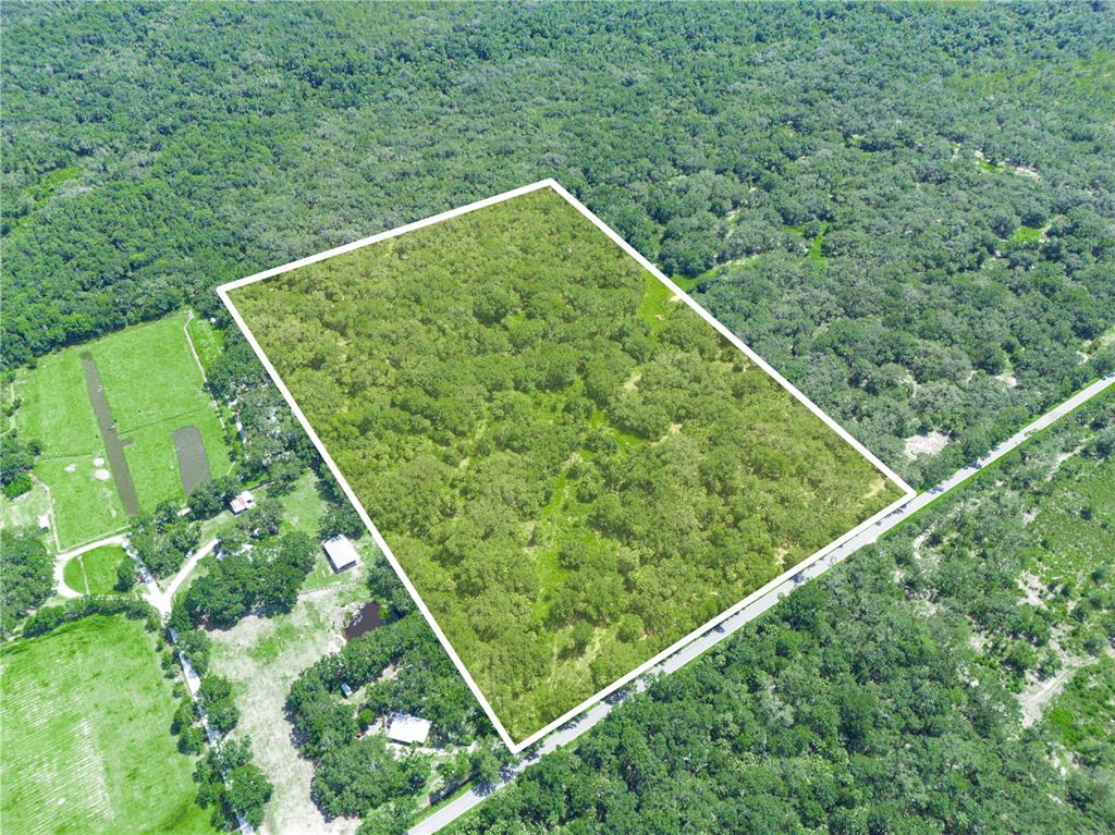 0 Lake Arbuckle Road Frostproof, FL 33843 - Photo 3 of 9 a view of a lush green forest from a balcony
