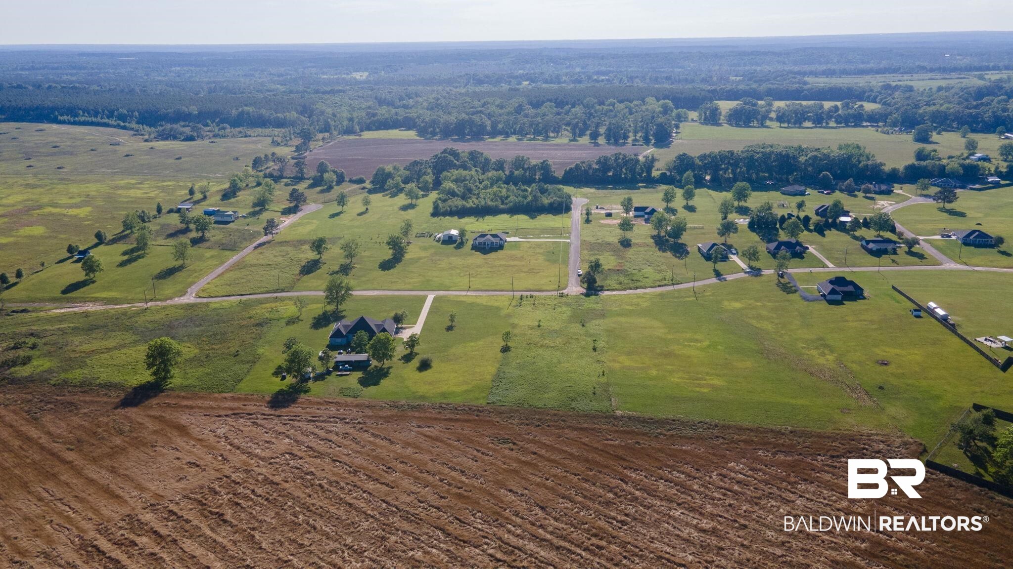 0 Lanier Lane Chunchula, AL 36521 - Photo 3 of 12