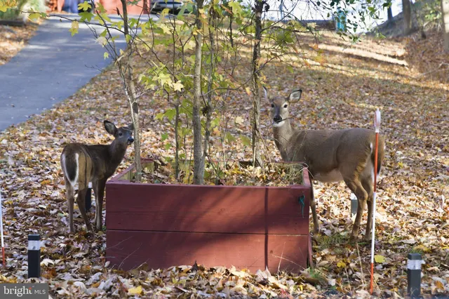 a view of a wooden door