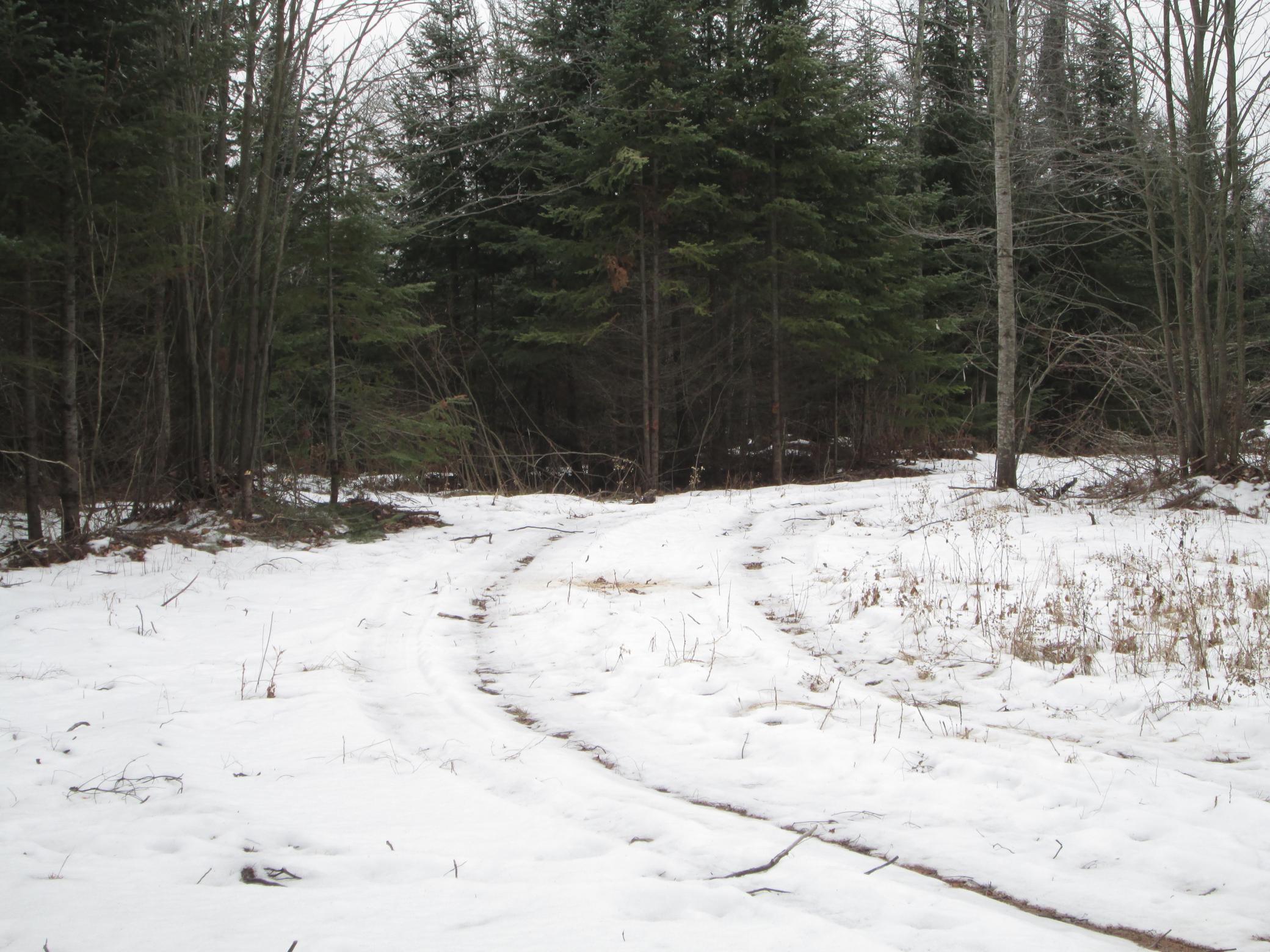 Tbd County Rd L South Range, WI 54874 - Photo 4 of 11