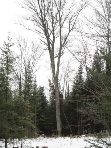 $99,000 | Tbd County Rd L, South Range, WI 54874