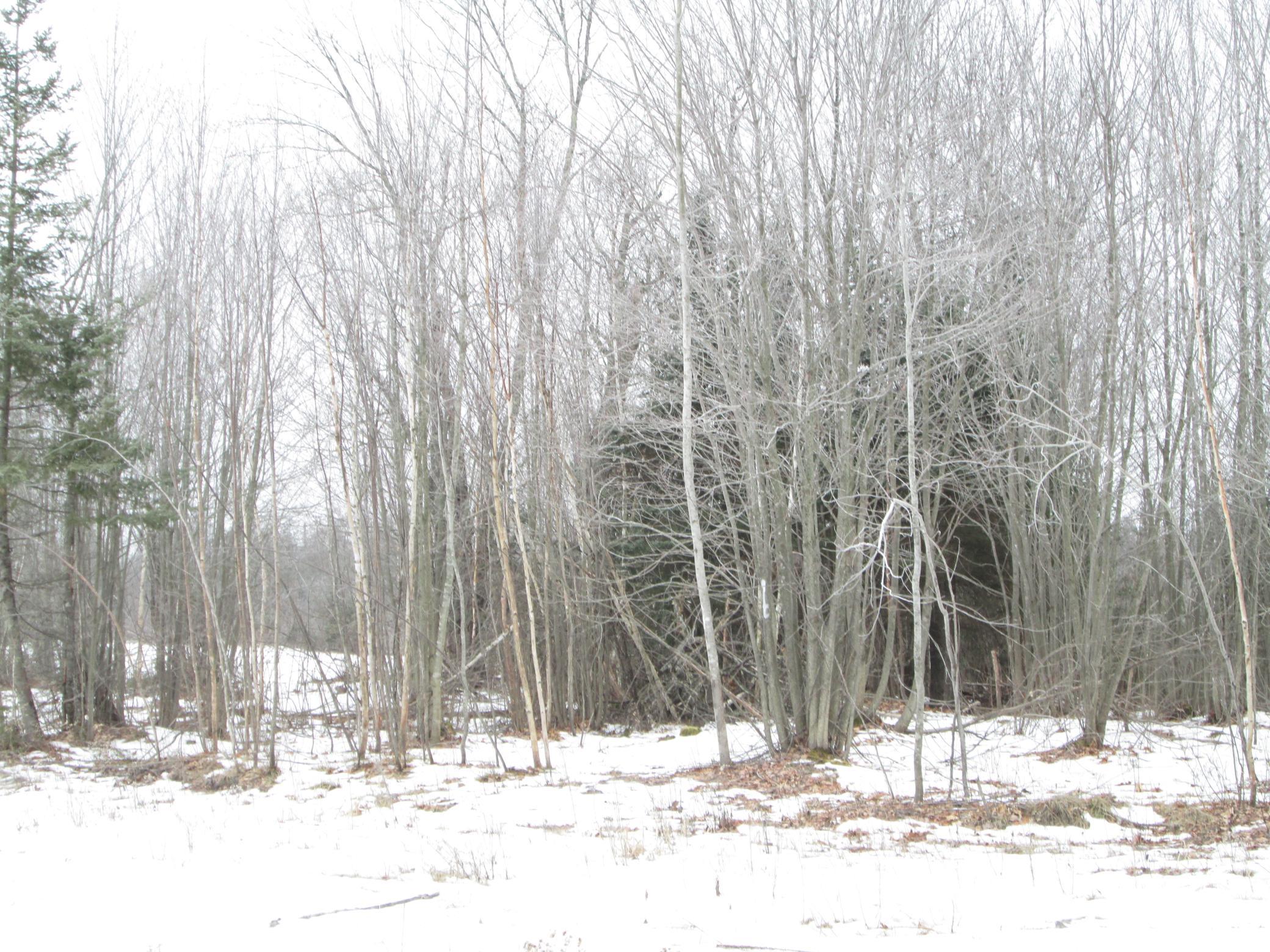 Tbd County Rd L South Range, WI 54874 - Photo 7 of 11