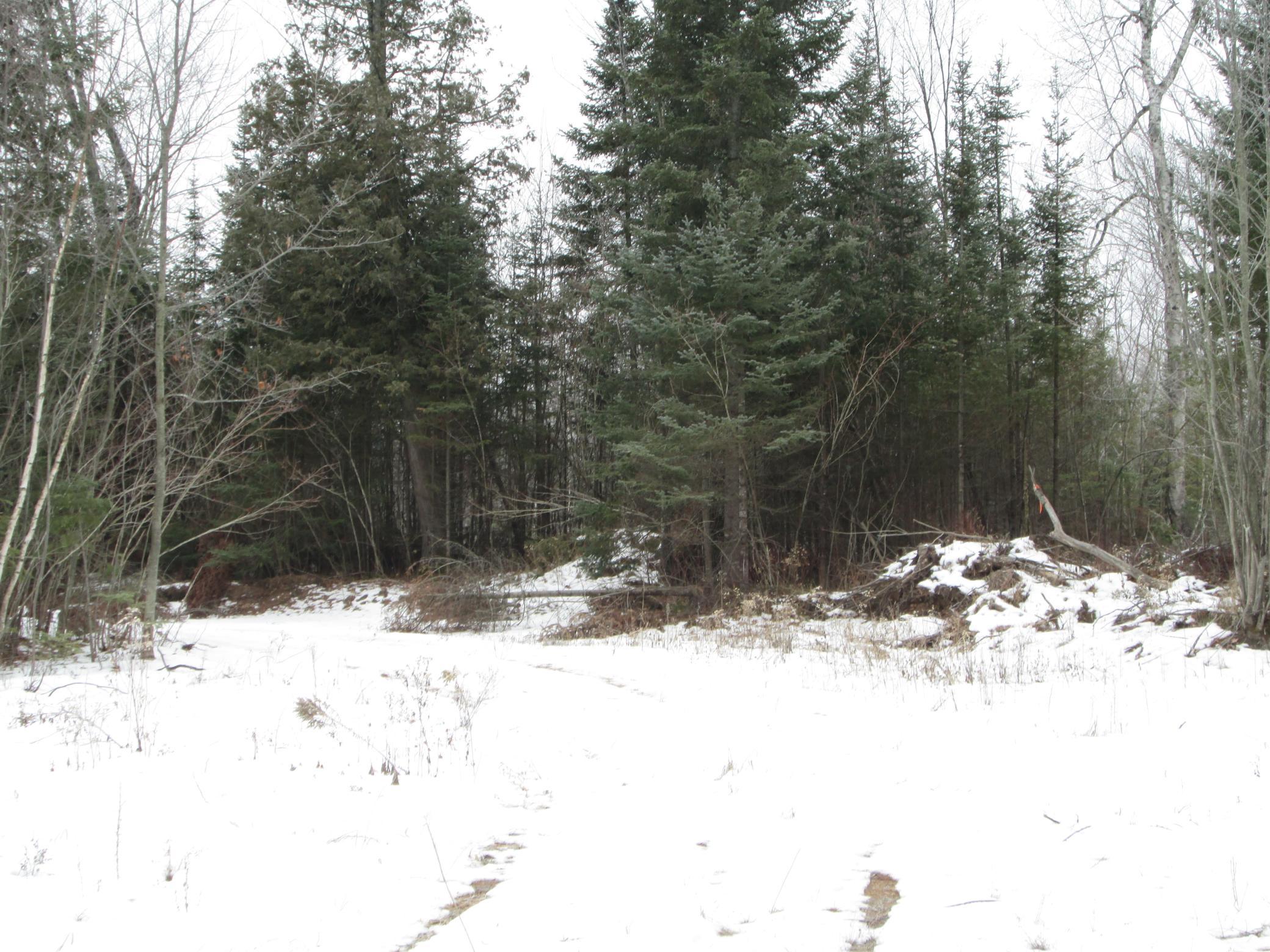 Tbd County Rd L South Range, WI 54874 - Photo 8 of 11