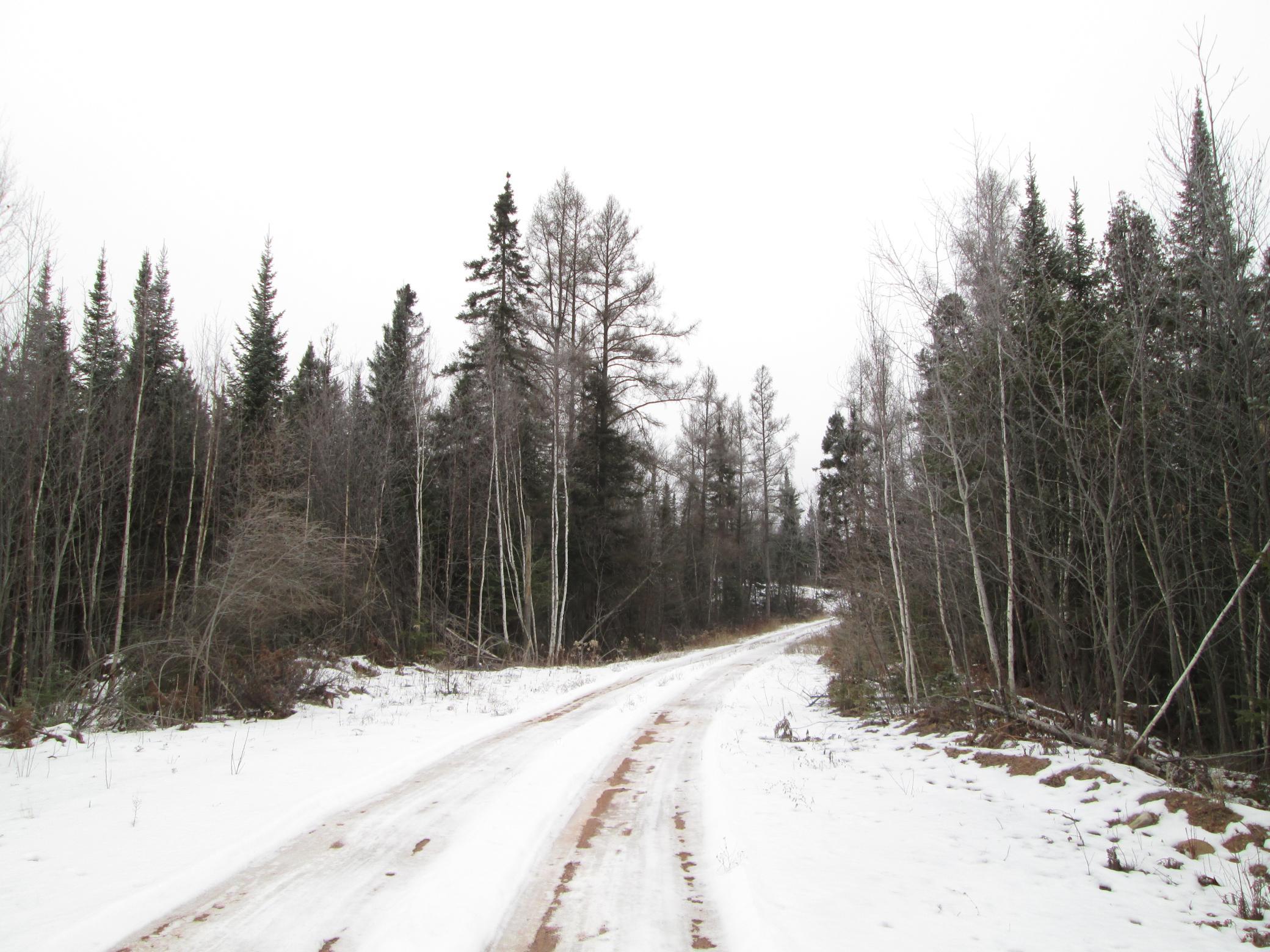 Tbd County Rd L South Range, WI 54874 - Photo 10 of 11