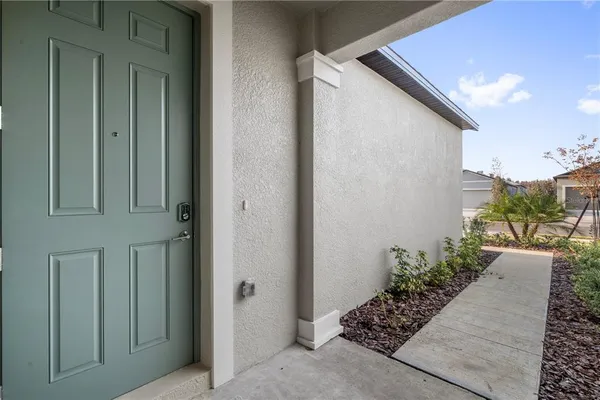 a potted plant sitting in front of a door