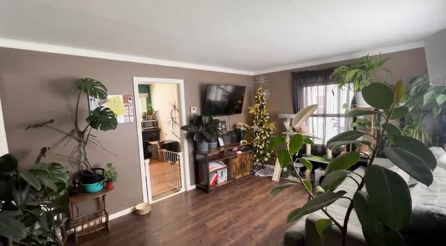 a view of a livingroom with furniture and a potted plant