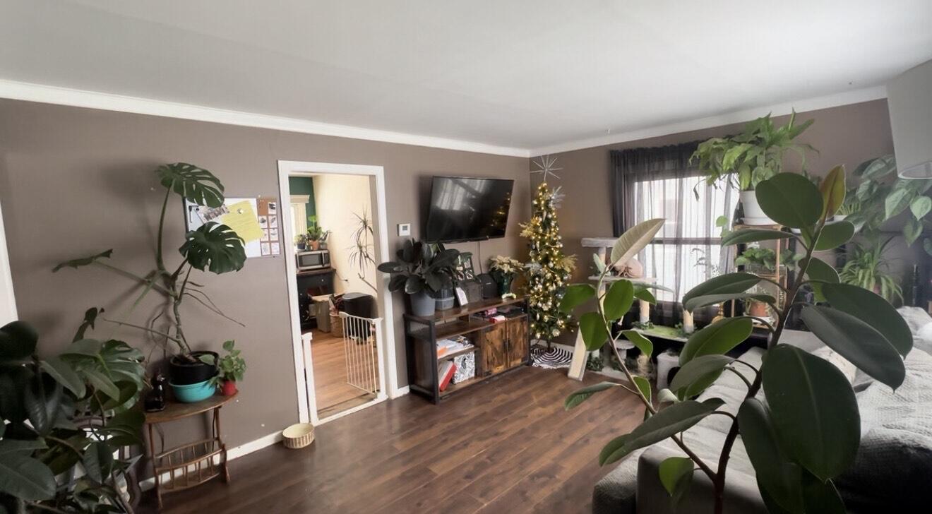 312 North Colorado Street Hobart, IN 46342 - Photo 4 of 8 a view of a livingroom with furniture and a potted plant