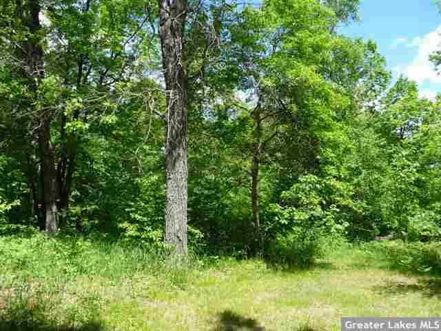 Xxx Half Moon Drive Merrifield, MN 56465 - Photo 2 of 4