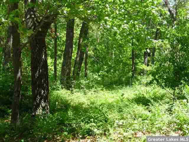 Xxx Half Moon Drive Merrifield, MN 56465 - Photo 3 of 4