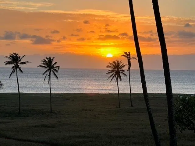 a view of a yard with an outdoor space