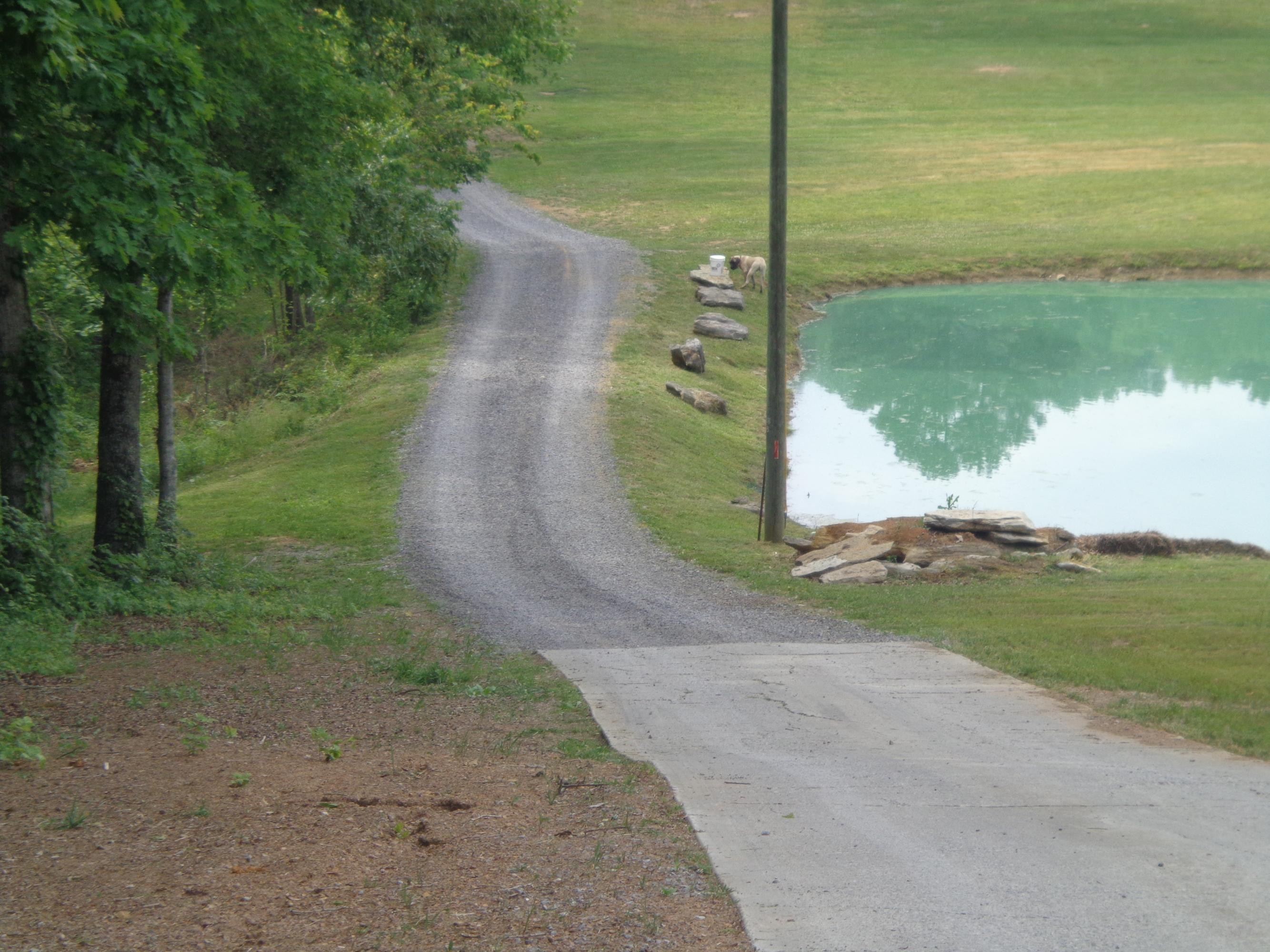 2732 East Raccoon Valley Drive Heiskell, TN 37754 - Photo 11 of 28 DSC00018