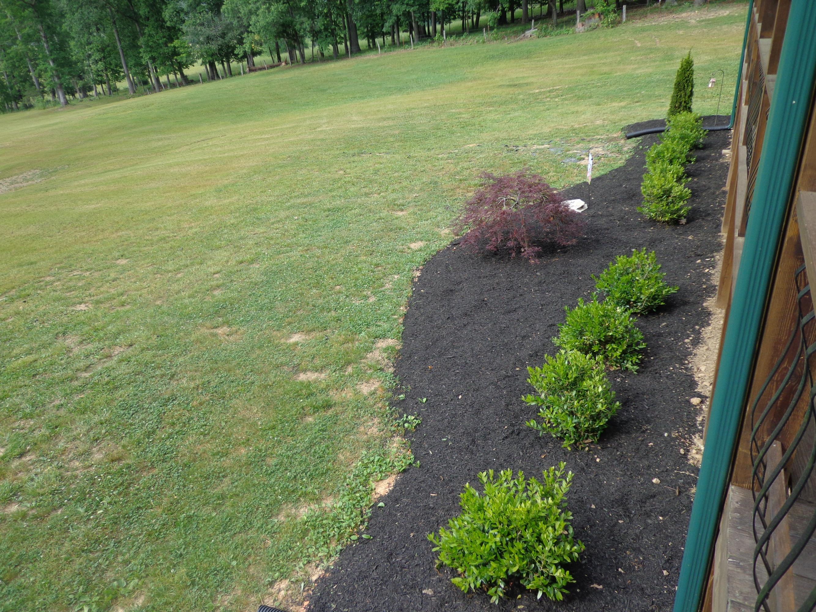 2732 East Raccoon Valley Drive Heiskell, TN 37754 - Photo 7 of 28 DSC00009