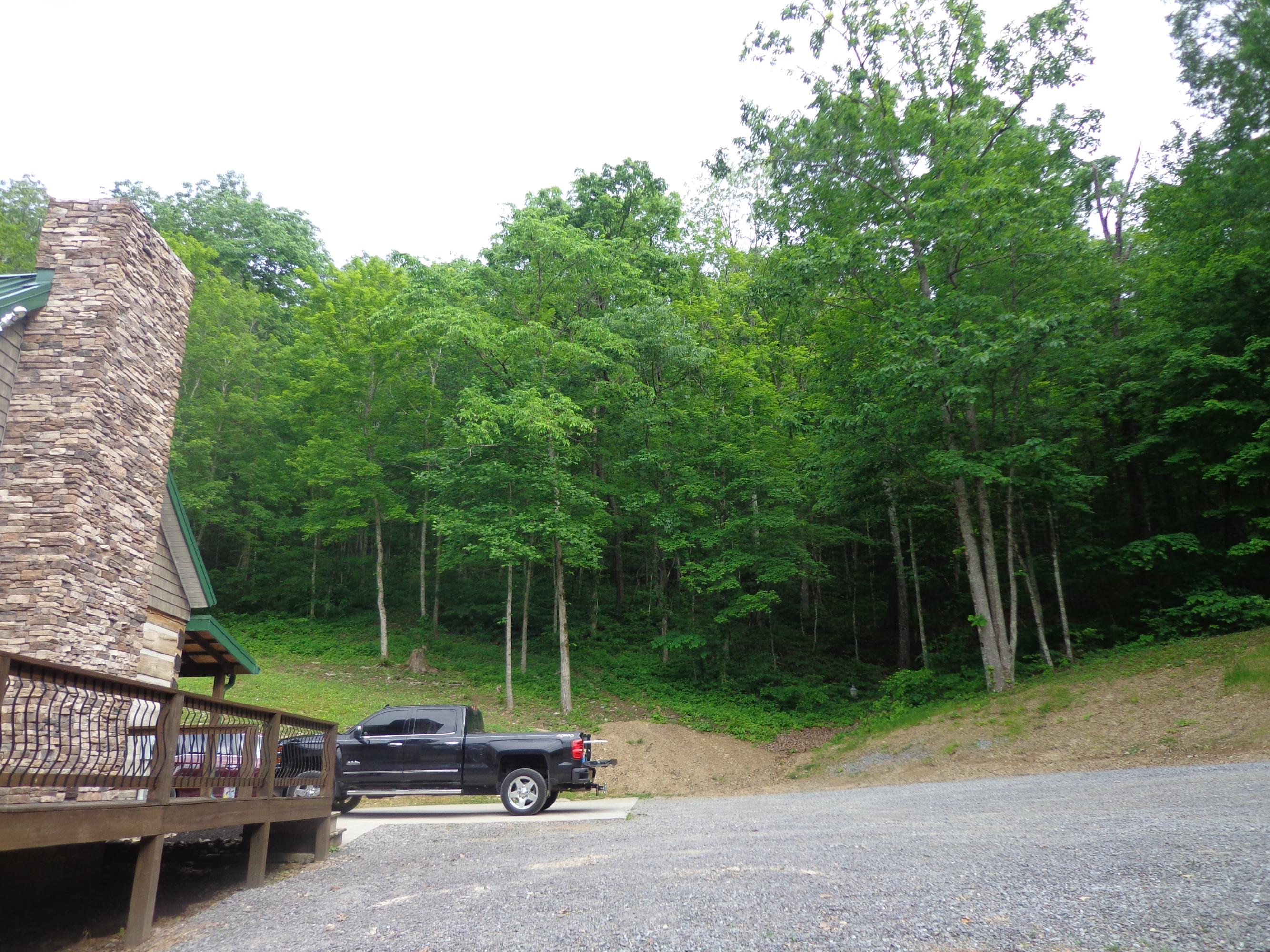 2732 East Raccoon Valley Drive Heiskell, TN 37754 - Photo 8 of 28 DSC00013