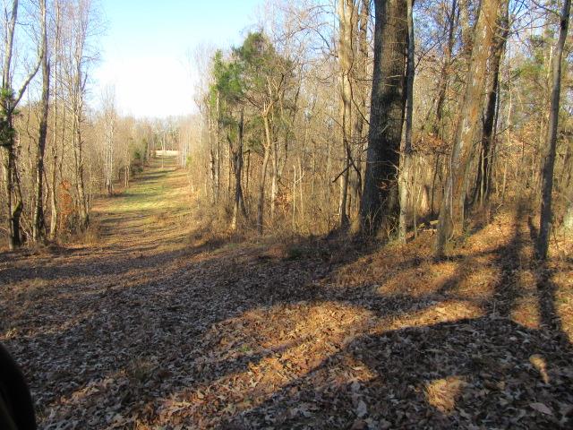 3 Sandy Springs Road Cedar Hill, TN 37032 - Photo 12 of 14 a view of a backyard of the house